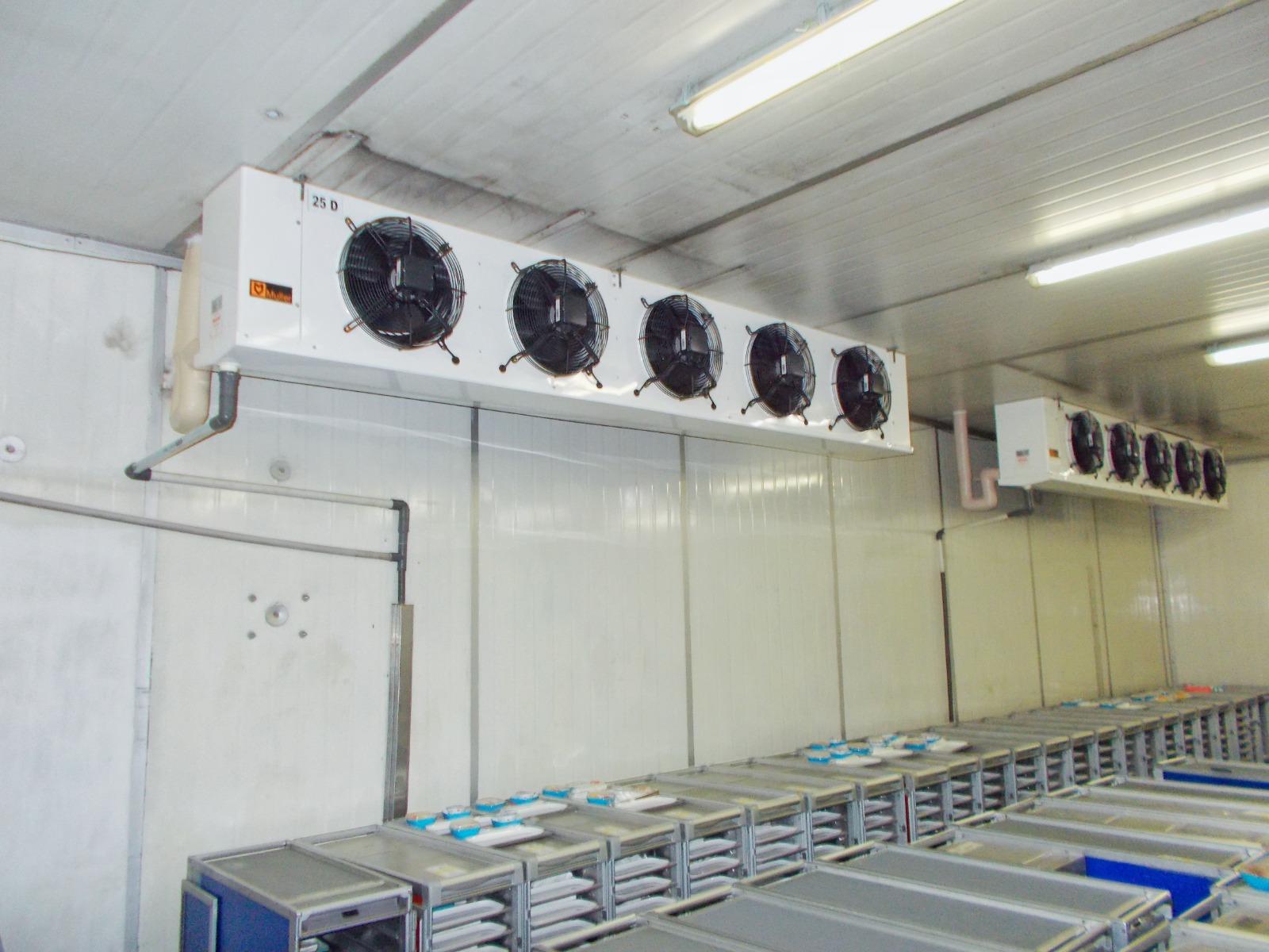 Cold room project