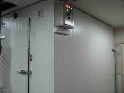 Cold storage door
